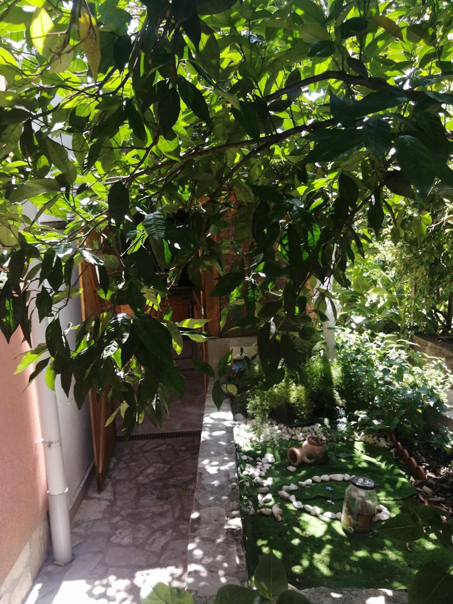 Ninic Family Apartments Tivat Exterior foto